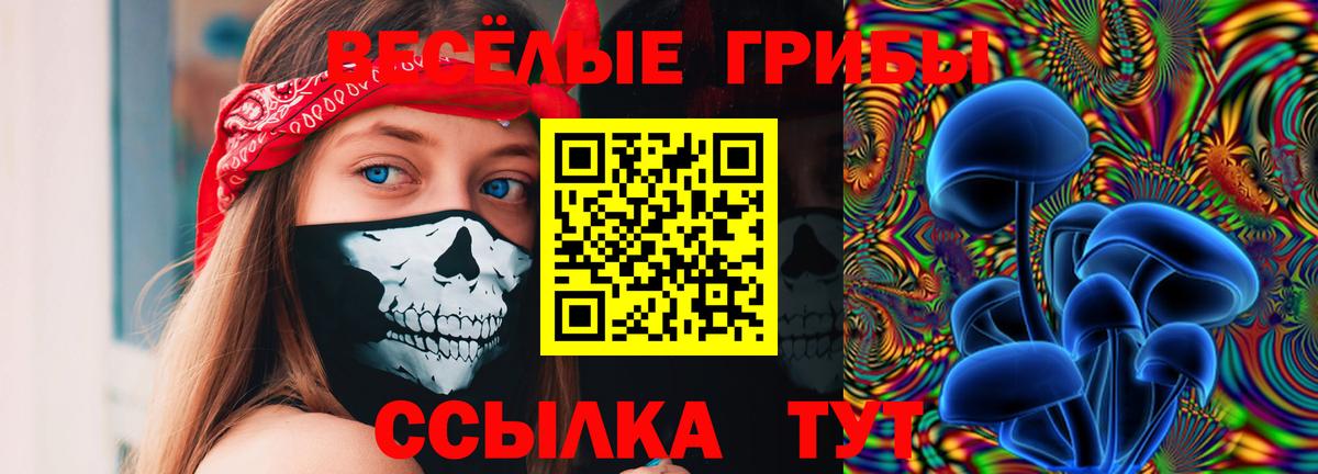 Майский  Галлюциногенные грибы ЛСД  Вход с VPN  Псилоцибиновые грибы Psilocybine cubensis 